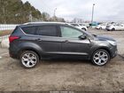 2019 Ford Escape Titanium Gray vin: 1FMCU0J97KUB94239 2019 Ford Escape Titanium Gray vin: 1FMCU0J97KUB94239