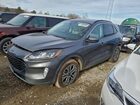 2021 Ford Escape Sel Gray vin: 1FMCU9CZ5MUA83709