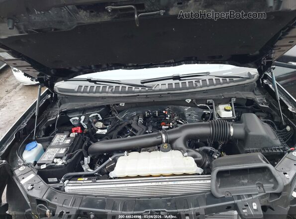 1FMJU1J86SEA44170 2025 FORD EXPEDITION Black Widok z tyłu
