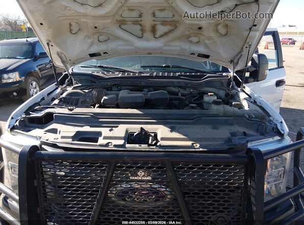 1FT7W2B63KEC70646 2019 FORD F-250 Белый Вид сзади