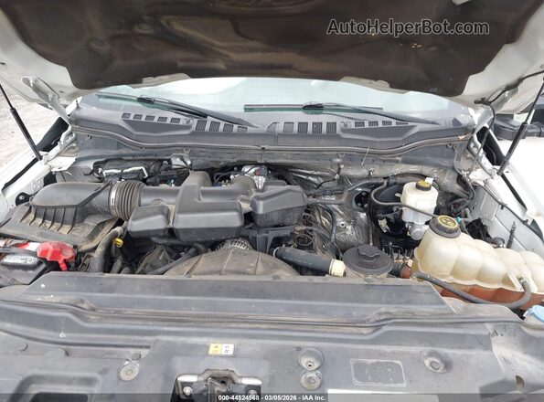 1FT7W2B68KEC74627 2019 FORD F-250 White უკანა ხედი
