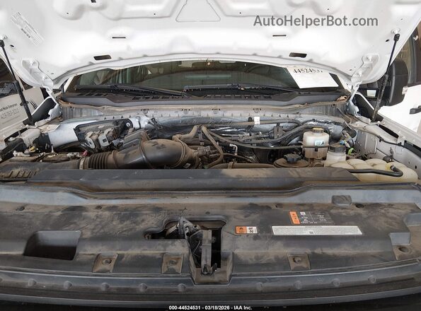 1FT7W2BA3REE02464 2024 FORD F-250 Белый Вид сзади