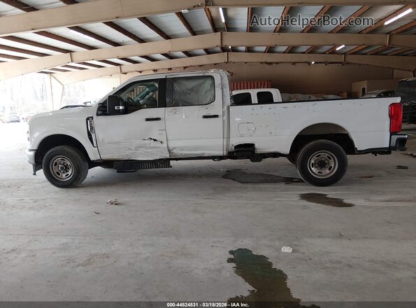 1FT7W2BA3REE02464 2024 FORD F-250 Белый 