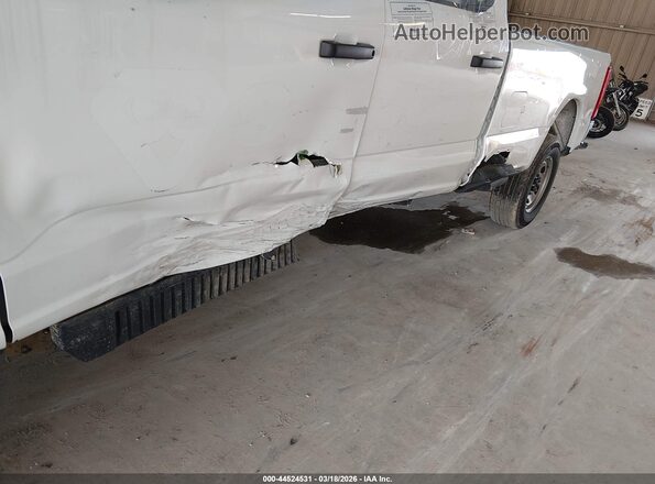 1FT7W2BA3REE02464 2024 FORD F-250 Белый 