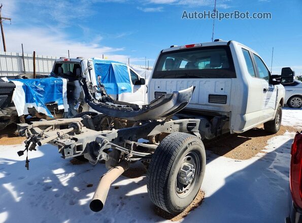 1FT7X2AA1PEC54018 2023 FORD F250 Белый Задняя правая четверть