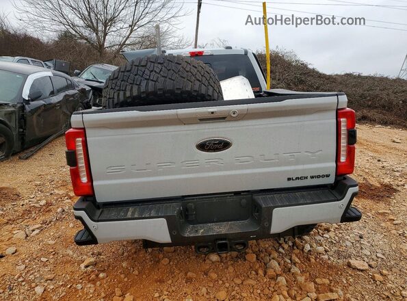 1FT8W2BM4TED08258 2026 FORD F250 Gray Widok z tyłu