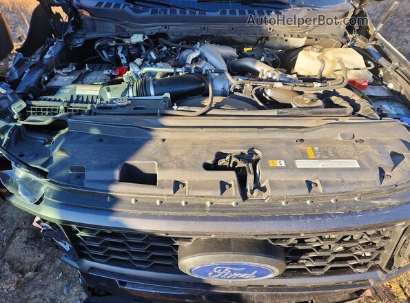 1FT8W2BT9REF78389 2024 FORD F250 Черный Вид задней части салона