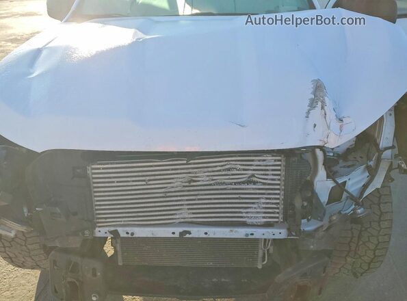 1FTER1FH8LLA04511 2020 FORD RANG Белый Вид задней части салона
