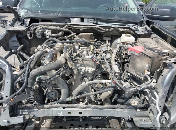 1FTER4HHXRLE65765 2024 FORD RANG Gray უკანა ხედი