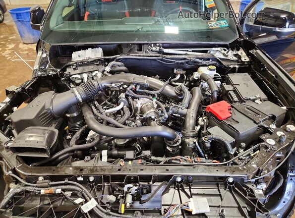 1FTER4LR7SLE69861 2025 FORD RANG Черный Вид задней части салона