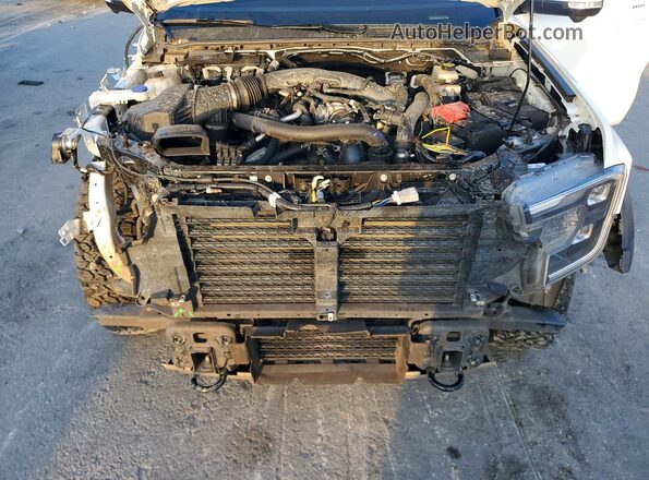 1FTER4LRXRLE71274 2024 FORD RANG Белый Вид задней части салона
