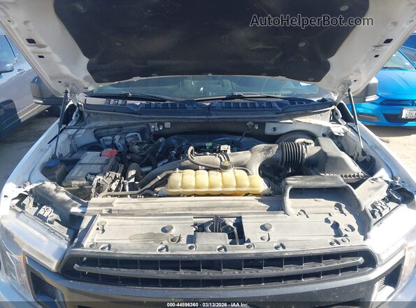 1FTEW1CP4LKD23818 2020 FORD F150 Белый Вид сзади