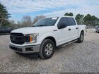 2019 Ford F-150 Xl White vin: 1FTEW1CP9KKD28351