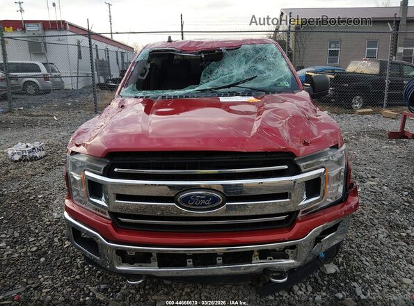 1FTEW1E56LFC47622 2020 FORD F150 Red Vista frontal