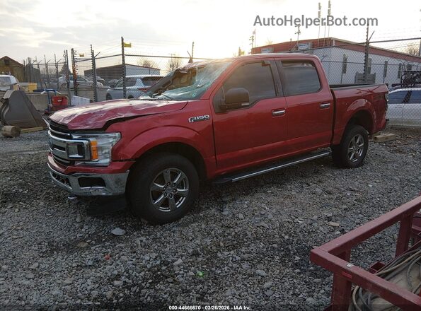 1FTEW1E56LFC47622 2020 FORD F150 Red Vista tres cuartos delantera izquierda