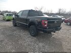 2022 Ford F-150 Tremor Черный vin: 1FTEW1E84NFA43446 2022 Ford F-150 Tremor Черный vin: 1FTEW1E84NFA43446