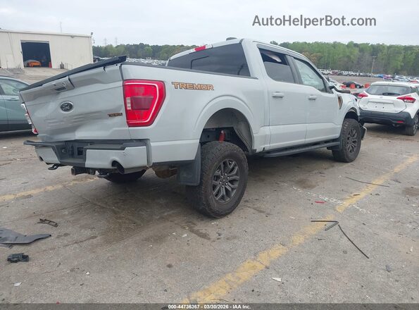 1FTEW1E85PFA87801 2023 FORD F150 Серый Задняя правая четверть