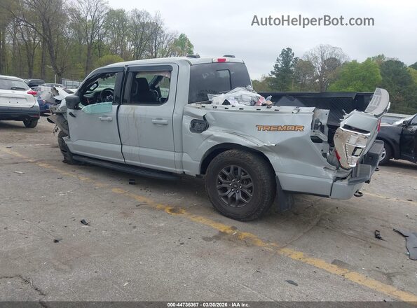 1FTEW1E85PFA87801 2023 FORD F150 Серый Задняя левая четверть