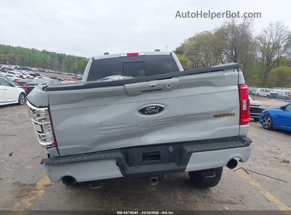 1FTEW1E85PFA87801 2023 FORD F150 Серый 