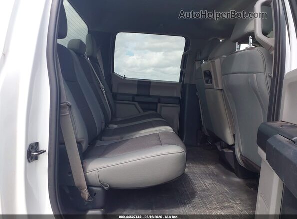1FTEW1EB3KKC24827 2019 FORD F150 Белый Вид наклейки с VIN-кодом