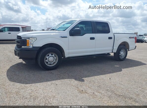 1FTEW1EB3KKC24827 2019 FORD F150 Белый Передняя левая четверть