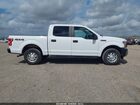 2019 Ford F-150 Xl Белый vin: 1FTEW1EB3KKC24827