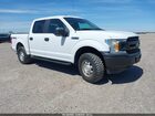 2019 Ford F-150 Xl White vin: 1FTEW1EB7KFA22372