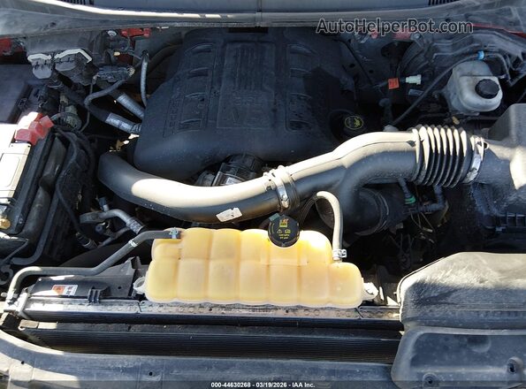 1FTEW1EG0GFD37887 2016 FORD F150 Темно-бордовый Вид сзади