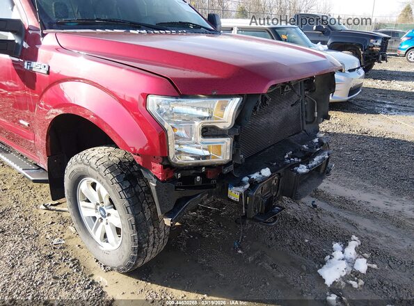1FTEW1EG0GFD37887 2016 FORD F150 Темно-бордовый 