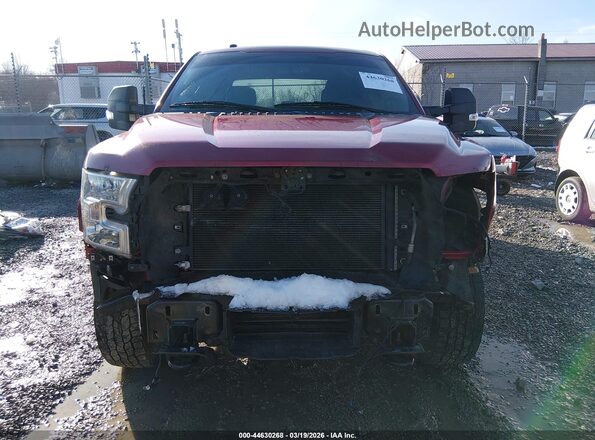 1FTEW1EG0GFD37887 2016 FORD F150 Темно-бордовый Вид задней части салона