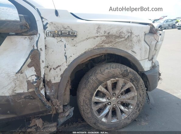 1FTEW1EG2HFA50455 2017 FORD F150 Белый 