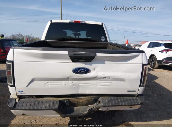 1FTEW1EP0LFB44231 2020 FORD F150 Белый 