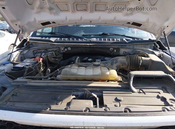 1FTEW1EP0LFB44231 2020 FORD F150 Белый Вид сзади