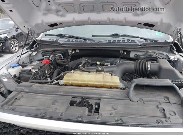 1FTEW1EP1KFB77978 2019 FORD F150 Белый Вид сзади