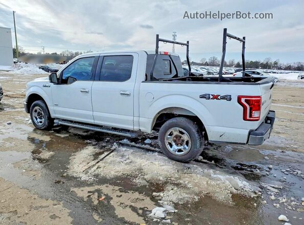 1FTEW1EP2GFC98087 2016 FORD F150 Белый Задняя левая четверть