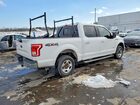 2016 Ford F-150 4x4 Scc- Pri Fleet- Ck Eng Lt On Белый vin: 1FTEW1EP2GFC98087