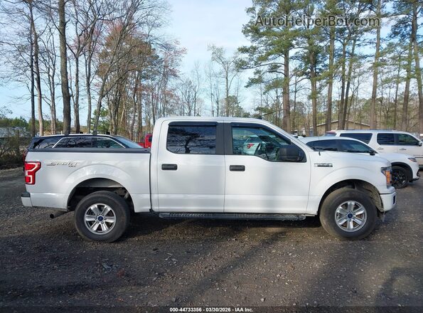 1FTEW1EP7LFA36253 2020 FORD F150 Белый Вид задней части салона