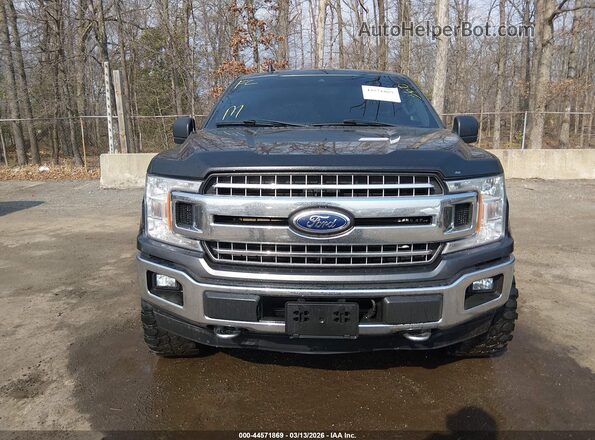 1FTEW1EP8LKD36133 2020 FORD F150 Gray Vista interior trasera