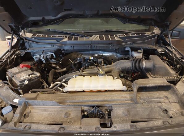 1FTEW1EPXPKE07449 2023 FORD F150 Серый Вид сзади