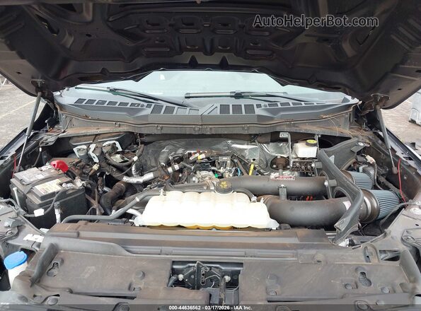 1FTEW2KP0RKE40702 2024 FORD F150 Черный Вид сзади