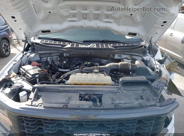 1FTEW2KP5RKD26176 2024 FORD F150 Белый Вид сзади