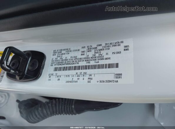 1FTEW2KP5RKD26176 2024 FORD F150 Белый Вид подкапотного пространства