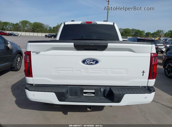1FTEW2KP5RKD26176 2024 FORD F150 Белый 