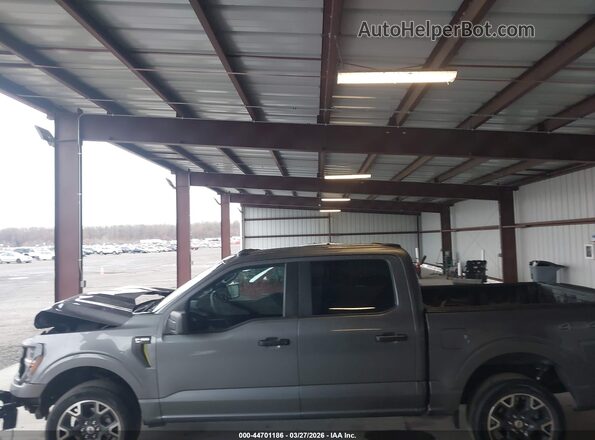 1FTEW2LP5RKE71104 2024 FORD F150 Серый Панорамный вид салона 360°