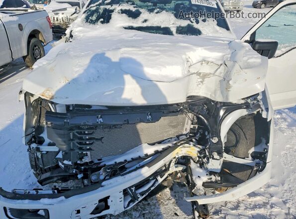 1FTEW2LPXSKF30783 2025 FORD F150 Белый Вид задней части салона