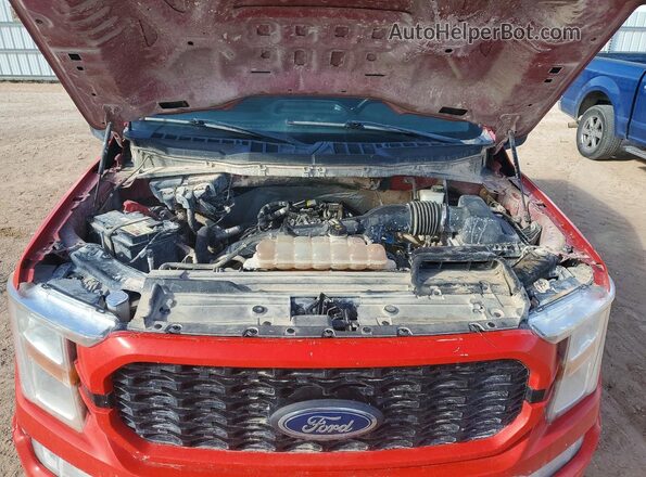 1FTEX1CP1MKD60842 2021 FORD F150 Красный Вид задней части салона