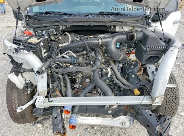 1FTEX1EP3NFC12876 2022 FORD F150 Белый Вид задней части салона