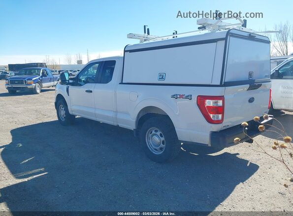 1FTEX1EP4MKF02954 2021 FORD F150 White Tył lewy