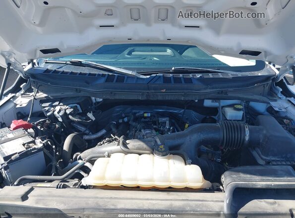 1FTEX1EP4MKF02954 2021 FORD F150 White Widok z tyłu