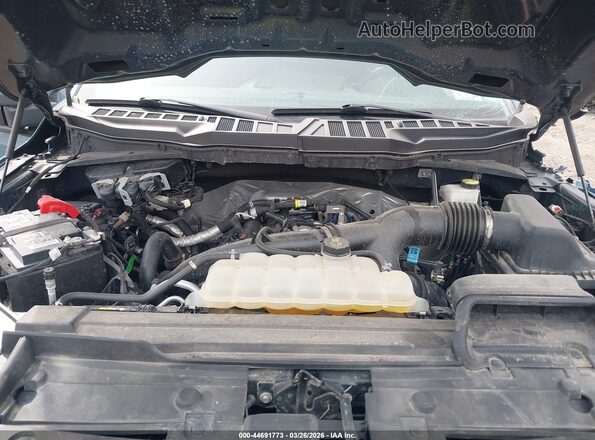 1FTEX1EP9PKD71010 2023 FORD F150 Синий Вид сзади